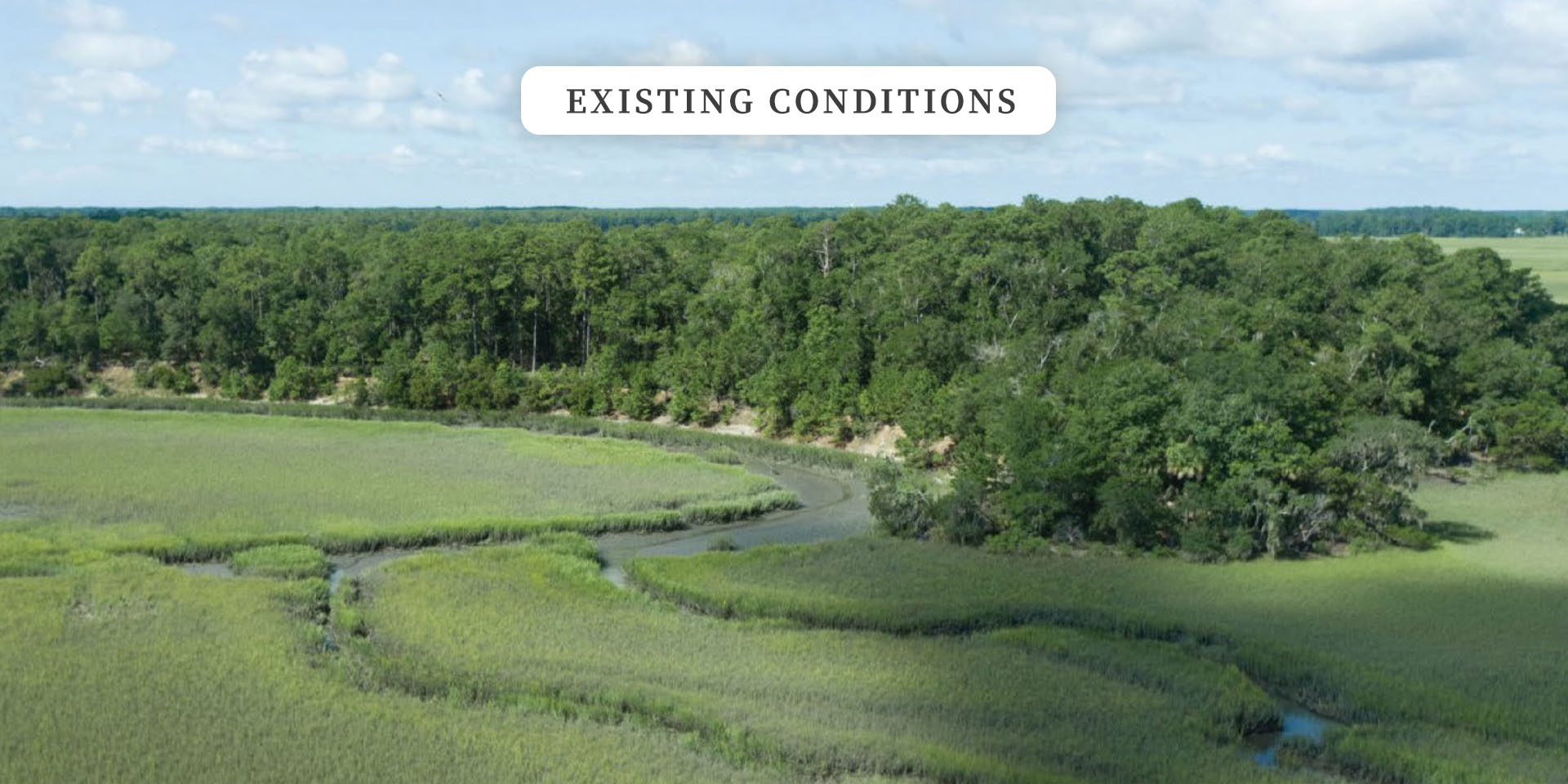 Looking from Pine Island: Existing Conditions